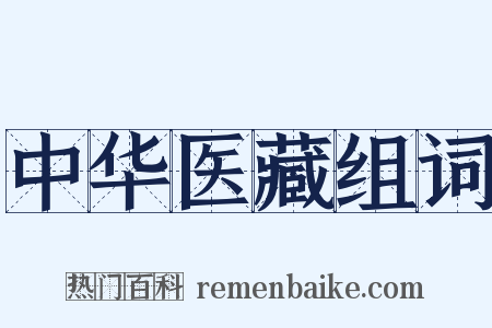 中华医藏组词是什么意思的图片